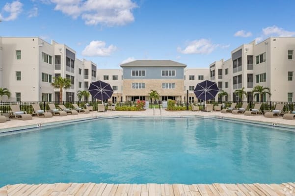 Outdoor pool area with palm trees and lounge chairs