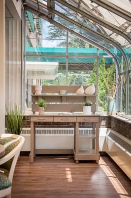 Bright interior space with plants and natural light