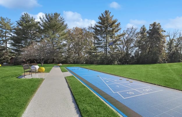 Outdoor shuffleboard court in a grassy area