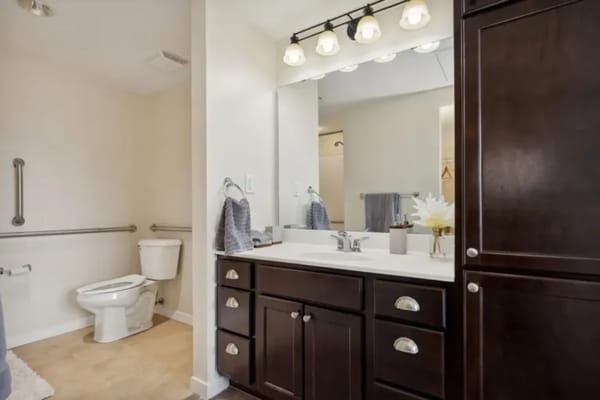 A modern assisted living bathroom with silver fixtures