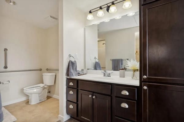 A modern assisted living bathroom with silver fixtures
