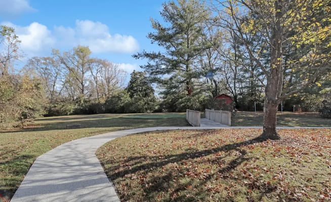 Pathway in a serene outdoor space with trees