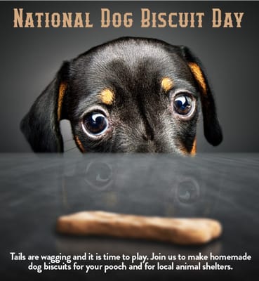 Benton House of Clermont