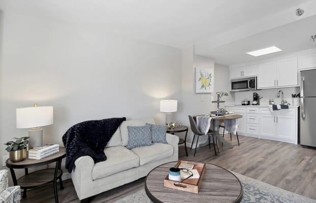 Cozy interior of a private living space with modern decor