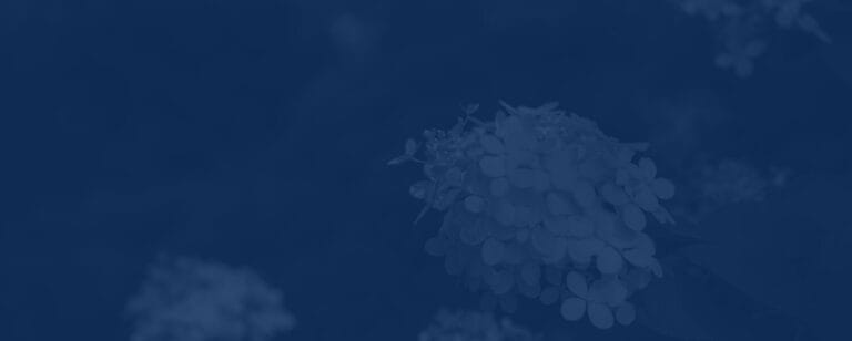 Commonwealth Senior Living at Grand Rapids