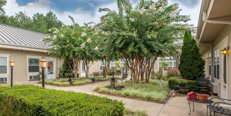 Serene outdoor garden area with trees and seating