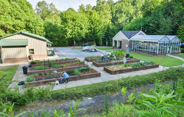 Residents gardening in community garden area