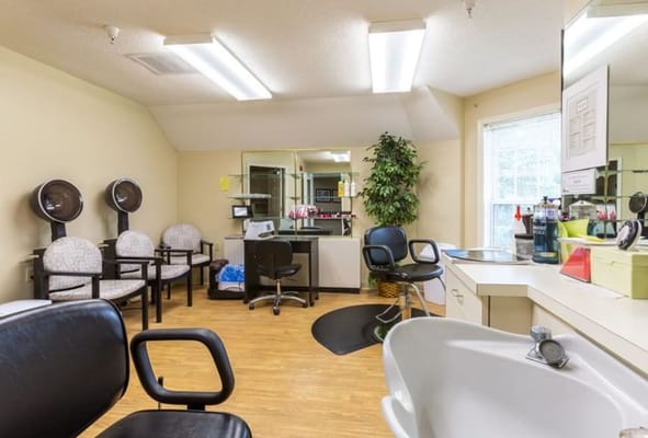 Interior view of the salon with chairs and hairdryers