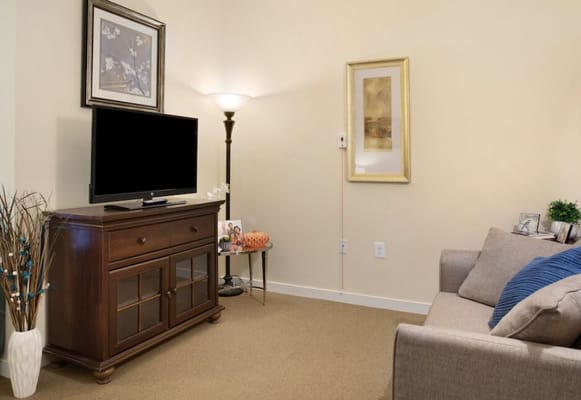 Cozy interior living space with a TV and decor