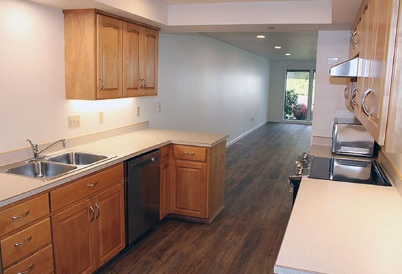 Modern kitchen interior with wooden cabinetry