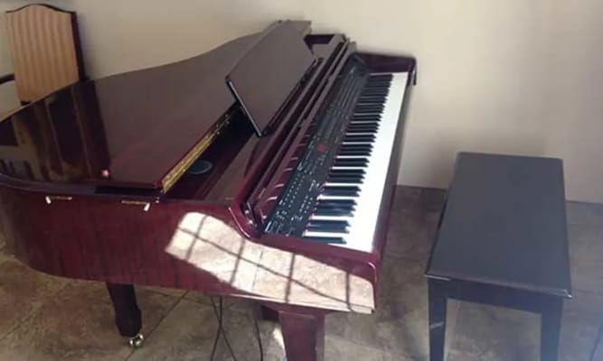 Close-up of a grand piano and bench in a common area.