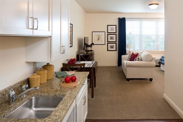 Living room with kitchenette and seating area