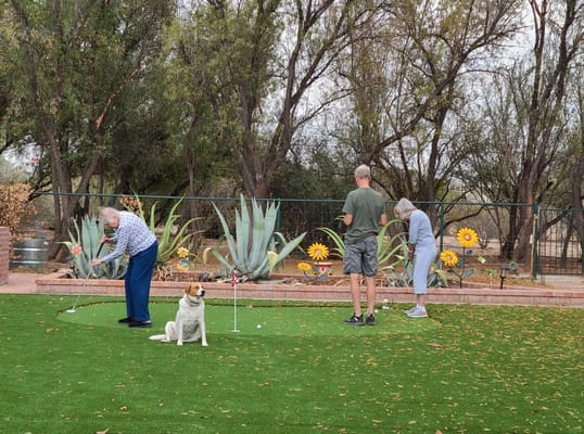 Residents playing golf in the outdoor garden area