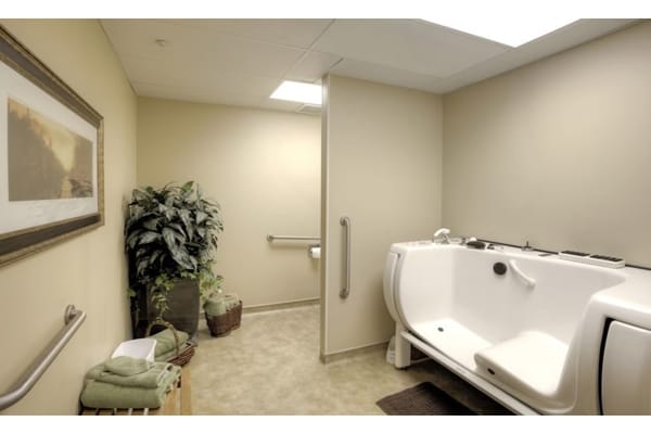 An accessible bathroom featuring a walk-in tub and safety grab bars.