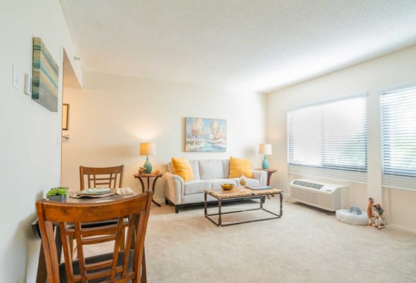 Bright and cozy living area with furniture