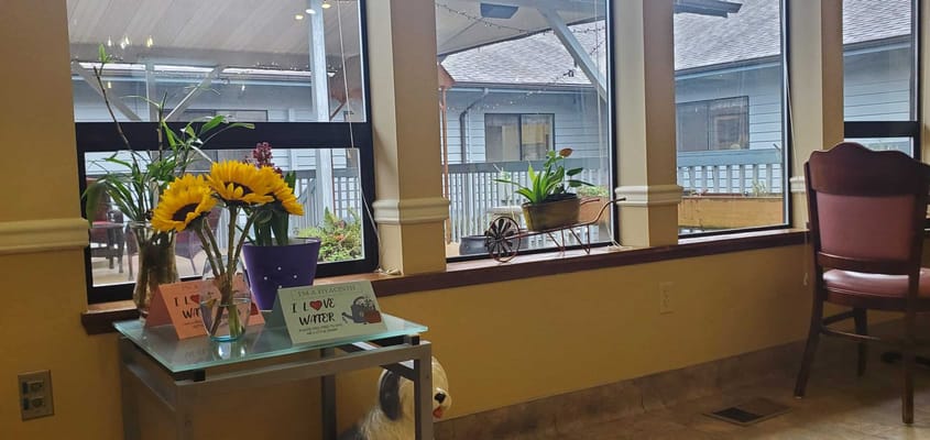 Bright interior corner with plants and decor