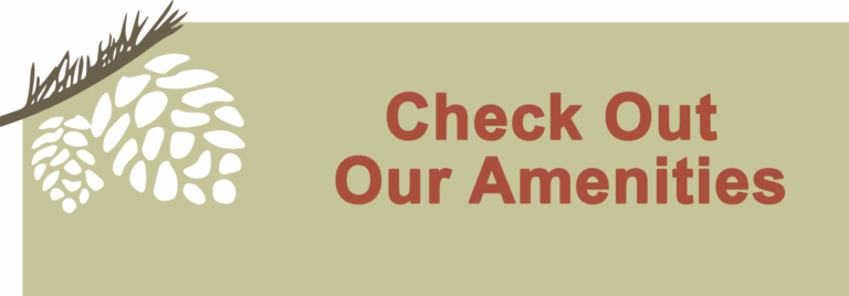 The Village at Skyline Pines Assisted Living & Memory Care