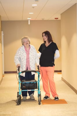 The Village at Skyline Pines