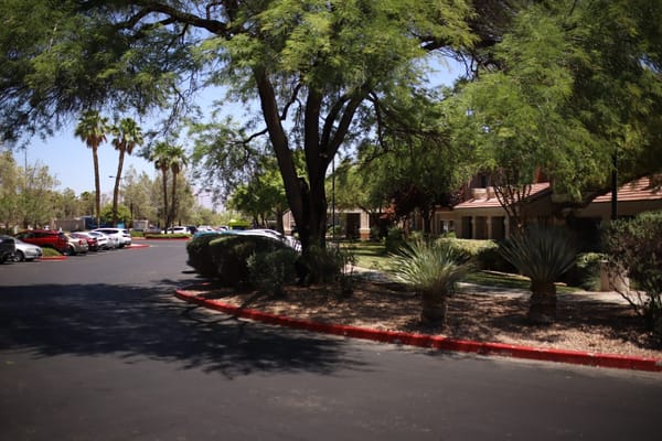 Entrance area with trees and parking at Atria Seville