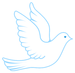 Grace Residential Care