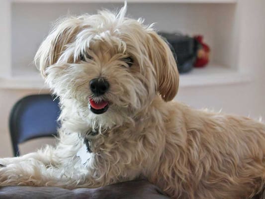 Grace Residential Care