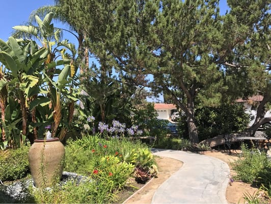 Pathway through a vibrant garden with various plants