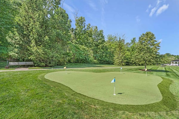 Outdoor putting green surrounded by trees