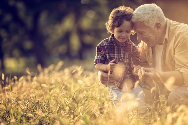 An elderly man interacting with a young boy in a sunny field
