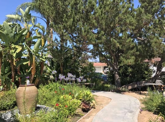 A serene garden path surrounded by greenery