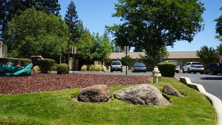Outdoor area with landscaped rocks and trees