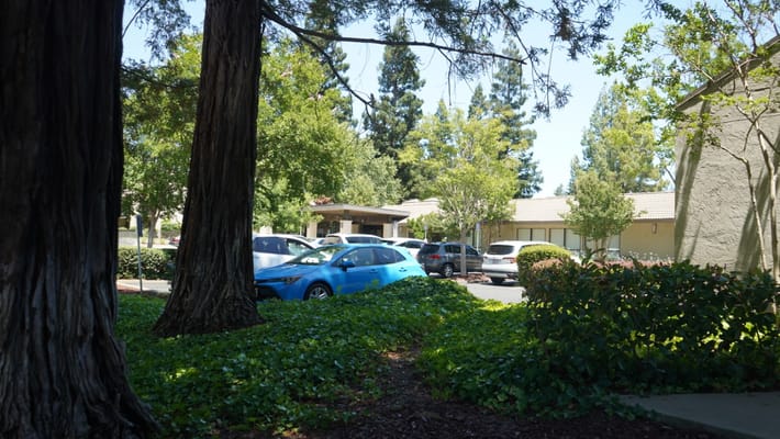 Exterior view of a senior living facility with trees