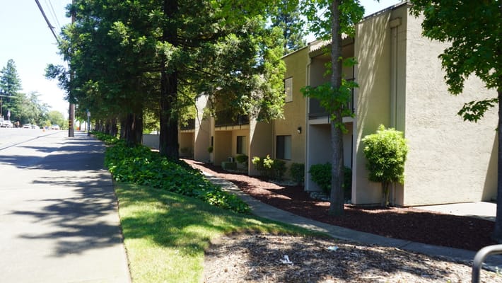 Exterior view of a senior living facility surrounded by greenery