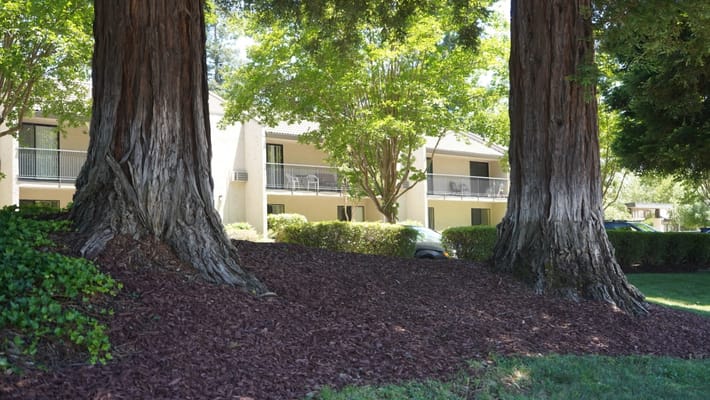 Outdoor view of a senior living facility with trees