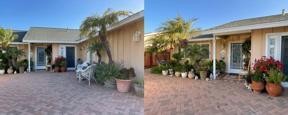 Welcoming outdoor area with potted plants and seating
