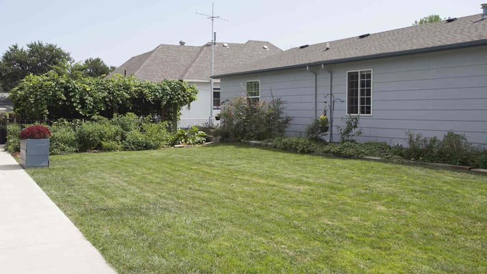 Well-maintained garden area with green lawn