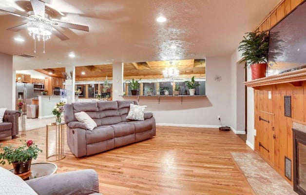Cozy living room with modern furnishings and plants