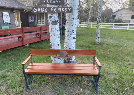 A wooden bench beside birch trees at Gaia's Remedy
