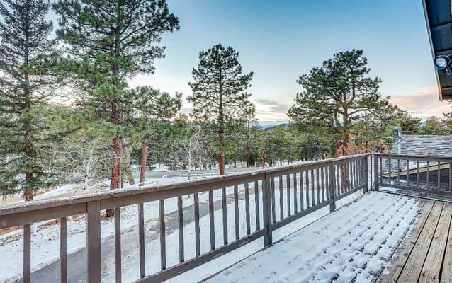 Scenic view of a snowy outdoor area with pine trees