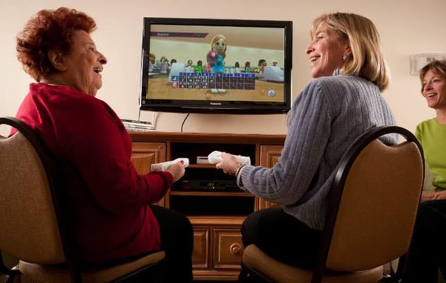 Two seniors playing a video game while smiling at the screen.
