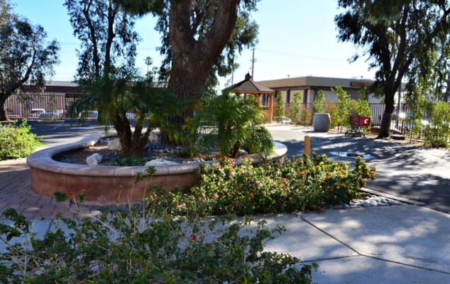 Outdoor garden area with plants and seating