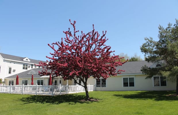 Outdoor view of facility with tree and patio seating