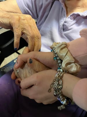 Two hands holding each other, showing connection