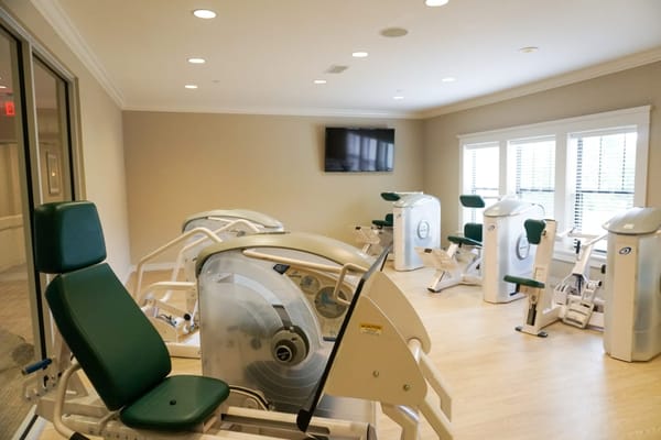 Well-equipped gym with exercise machines in natural light