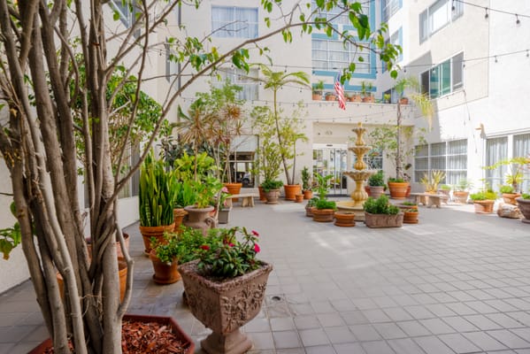 Courtyard with plants and a fountain