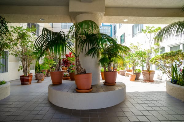 Indoor garden area with potted plants