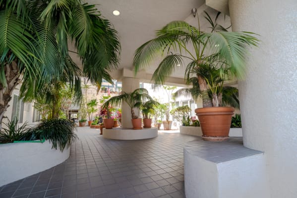 Indoor garden area with potted palms and benches