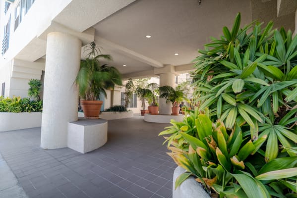 Entrance area with plants and seating
