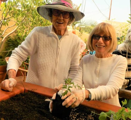 Residents gardening together in an outdoor space