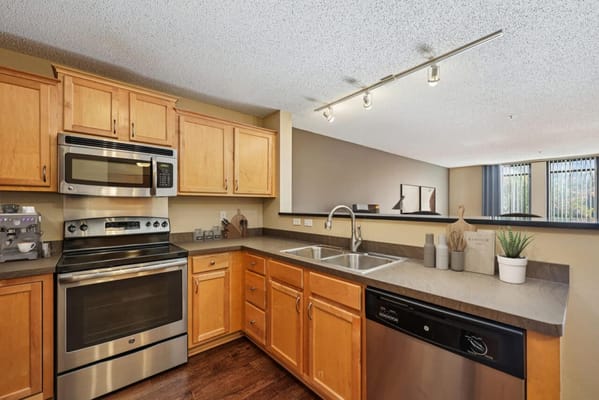 Modern kitchen interior with appliances and cabinetry