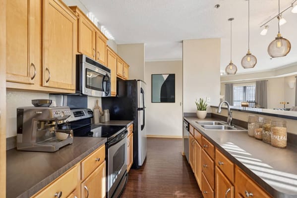 Modern kitchen with wood cabinets and appliances